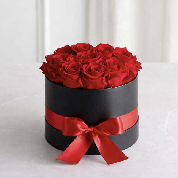 Vibrant Elegance Collection-Black