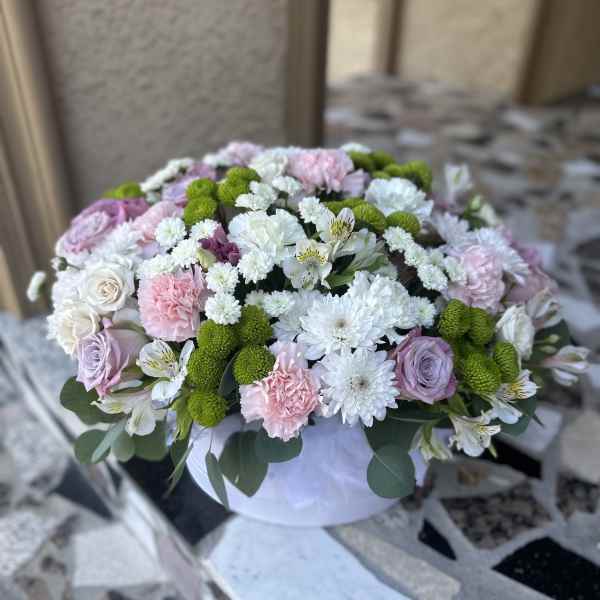 The freshness of the morning