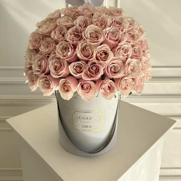 MFS 50 Rose Box (Mondial Pink)