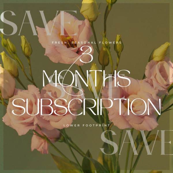 Weekly Subscription - 3 Months