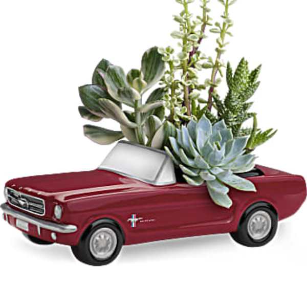 Dream Wheels '65 Ford Mustang