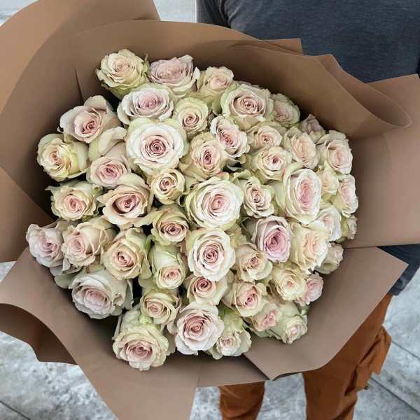 50 Creamy roses