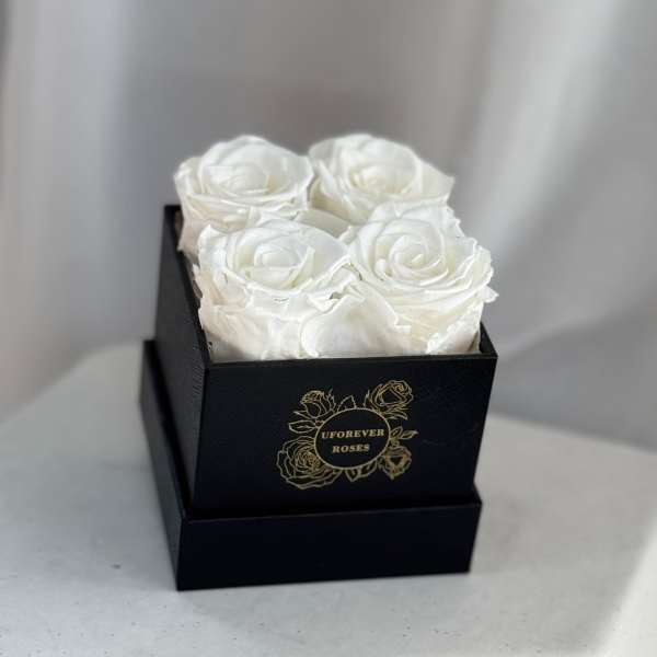 Forever Roses White