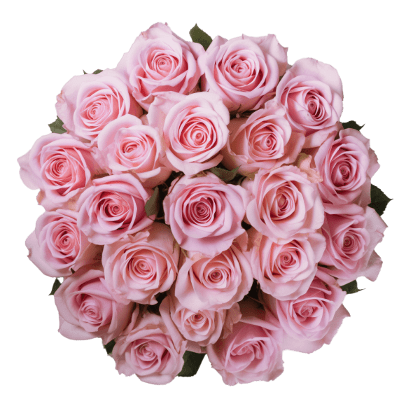 24 pink roses wrapped in floral paper