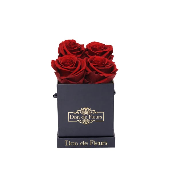 Petite Black Square Preserved Rose-Red