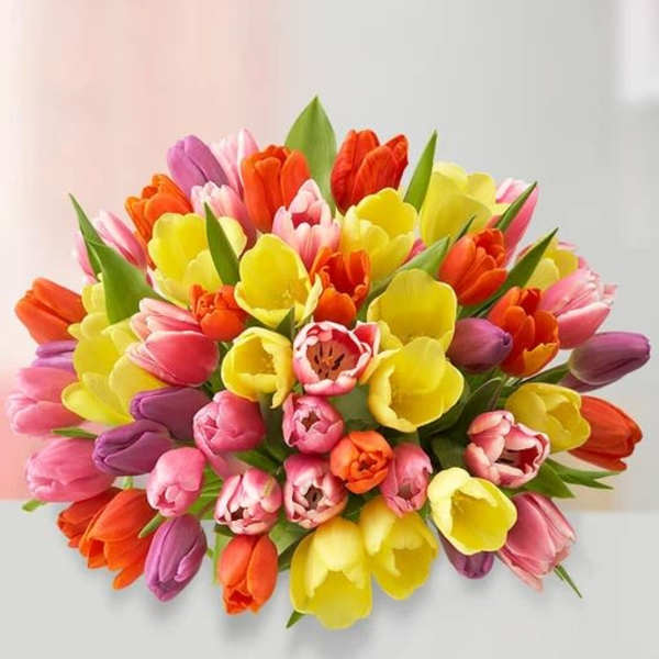 Assorted Tulips: 60 Stems