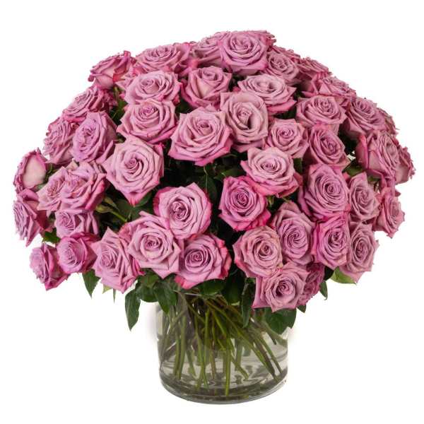 Large arrangement of lavender roses tightly clustered in a clear glass cylinder vase