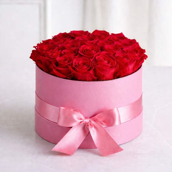 Vibrant Elegance Collection-