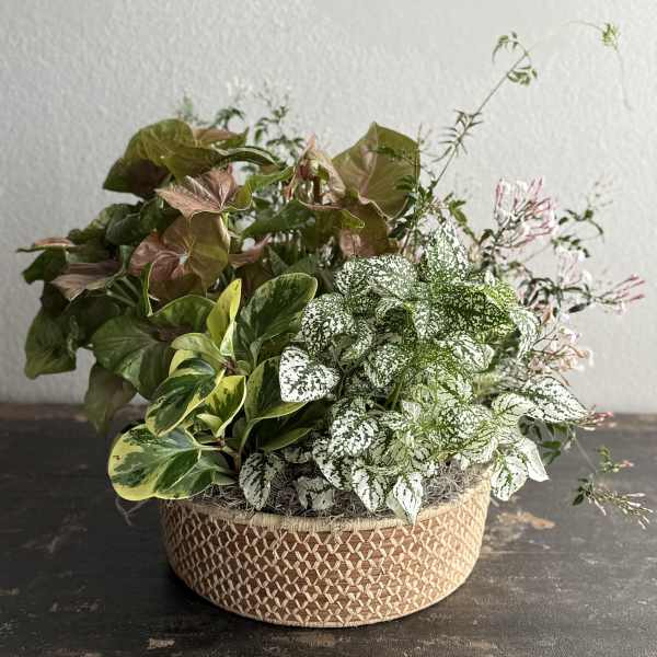 Mother's Day Arrangement #1