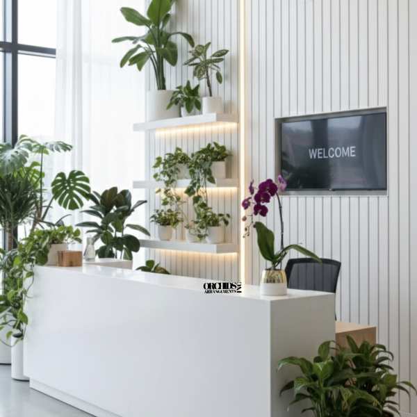 Purple Phalaenopsis Orchid Arrangement – Contemporary Design