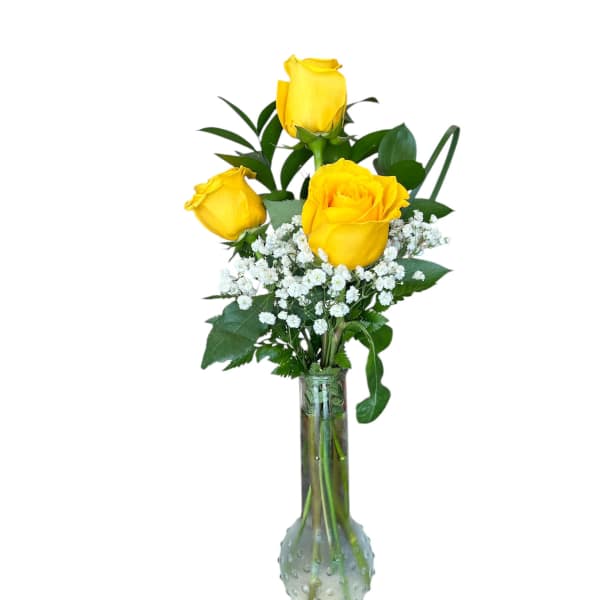 3'S Charm Yellow Roses