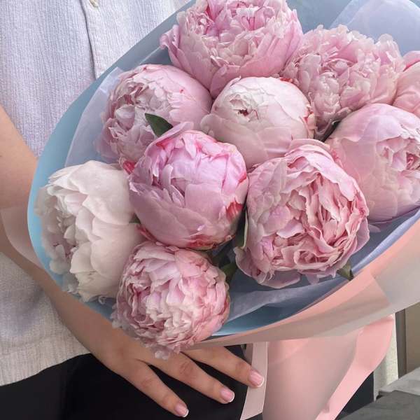 Pure Peonies