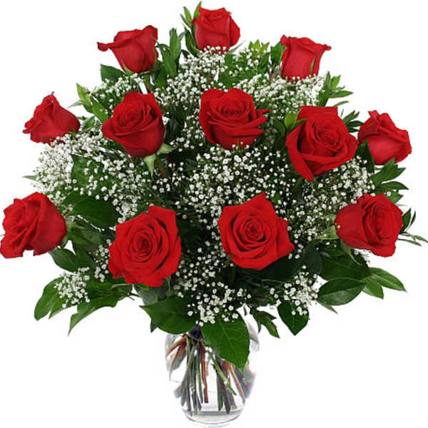 12 red Dozen Roses