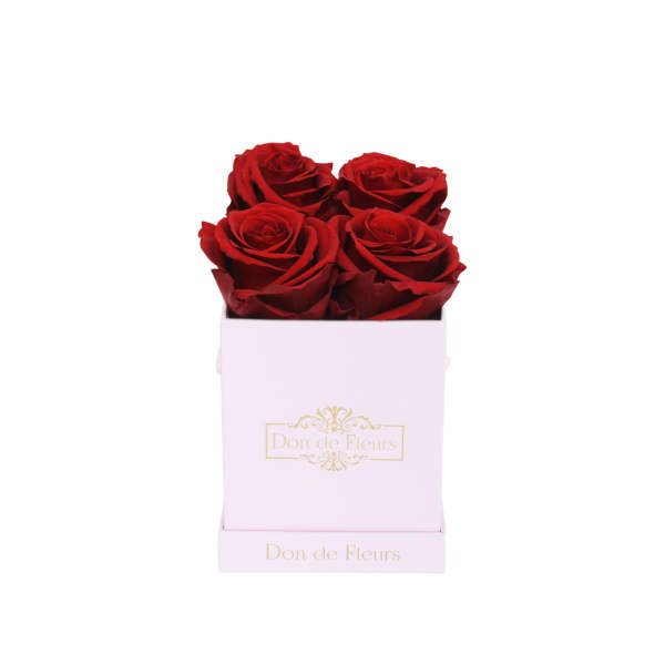 Petite Blush Pink Square Preserved Rose-Red