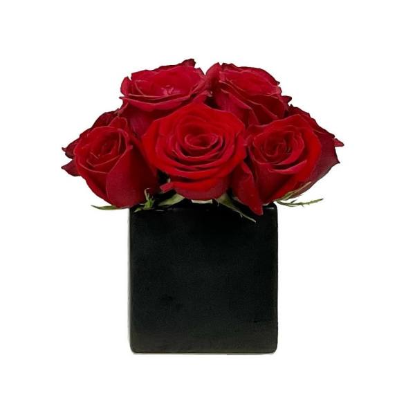 Compact arrangement of red roses in a black square vase