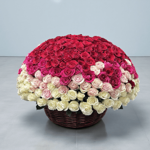250 Roses Grand Basket