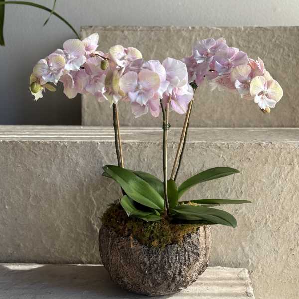 Mother's Day Arrangement #7