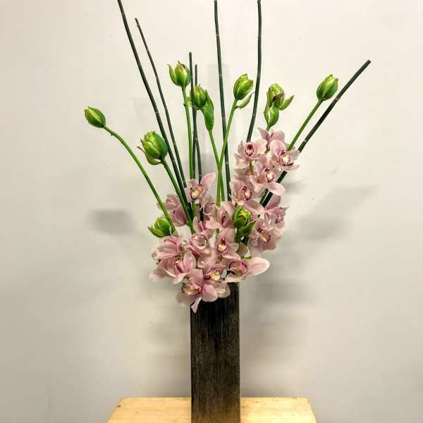 Modern and Minimal Elegance