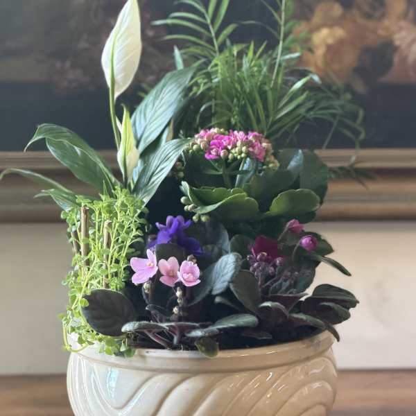 Blooming Dish Garden