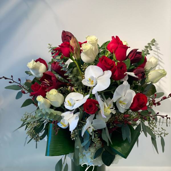 White and red design