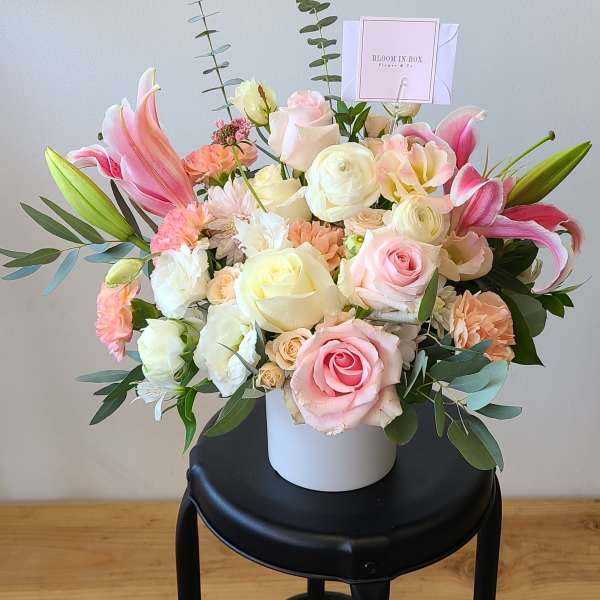 Breve Creamy Pink Vanila (L)