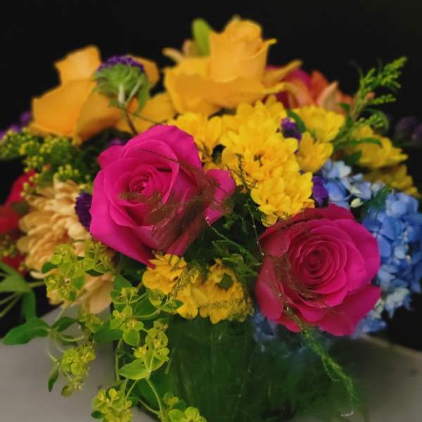 Smile, Sparkle, Shine