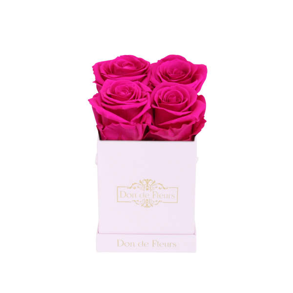 Petite Blush Pink Square Preserved Rose-Hot Pink