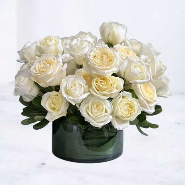 Three Dozen White Roses