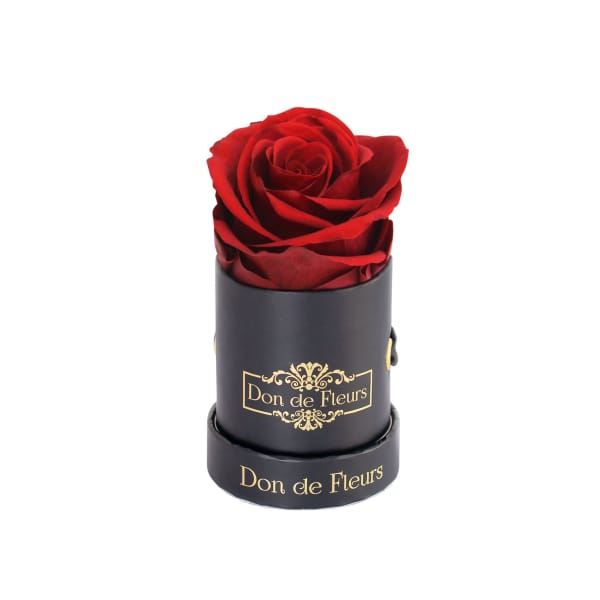 Mini Black Round Preserved Rose-Red