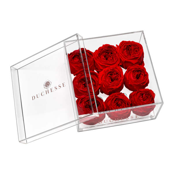 Nine Gorgeous Garden Red Roses