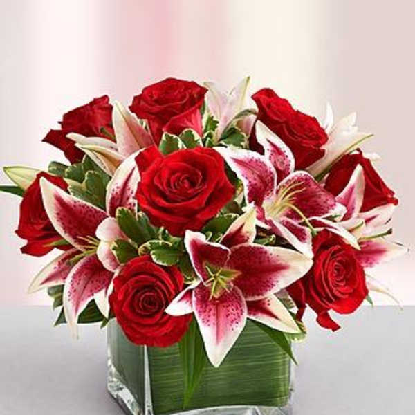 Modern Embrace Red Rose and Lily Cube