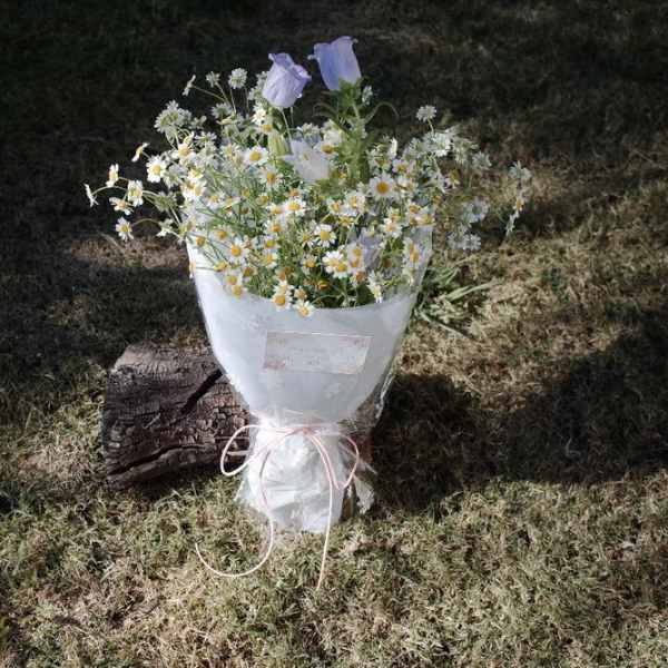 Cup of Sunshine – Daisy & Bellflower Bouquet