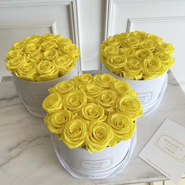 MFS Eternity Roses (Yellow) Mini Box