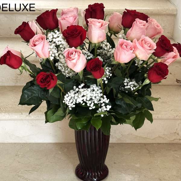 36 Roses Red and Pink Long Stem arranged in a vase