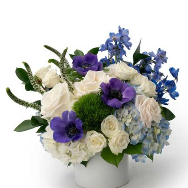 Low white vase of white roses, blue hydrangeas, and purple anemones