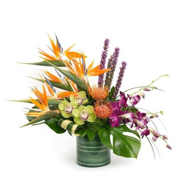 Tropical arrangement with orange birds of paradise, orchids, and protea in a green glass cylinder vase.