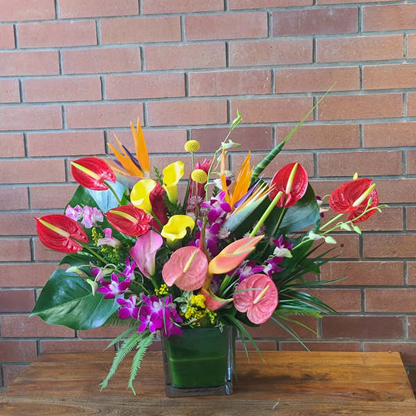 Large Tropical Arrangement