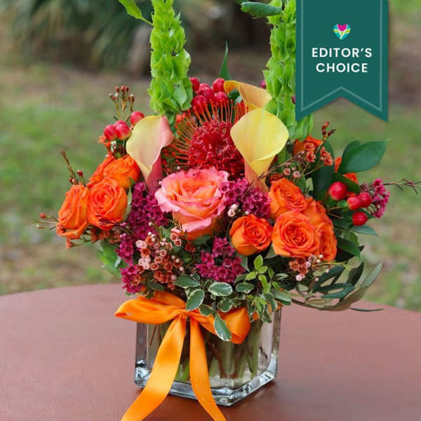 Orange Crush - Editor's Choice