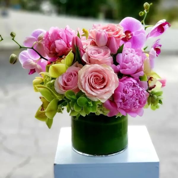 Positano Garden - Los Angeles