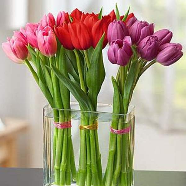 Modern Tulips for Your Valentine