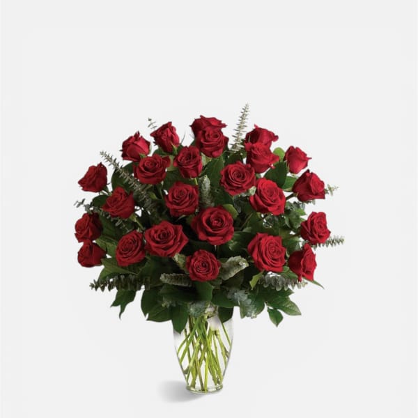 Two Dozen Luxurious Red Velvet Ecuadorian Roses