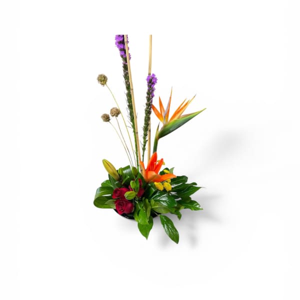 Petal Perfection’s Tropical Delight