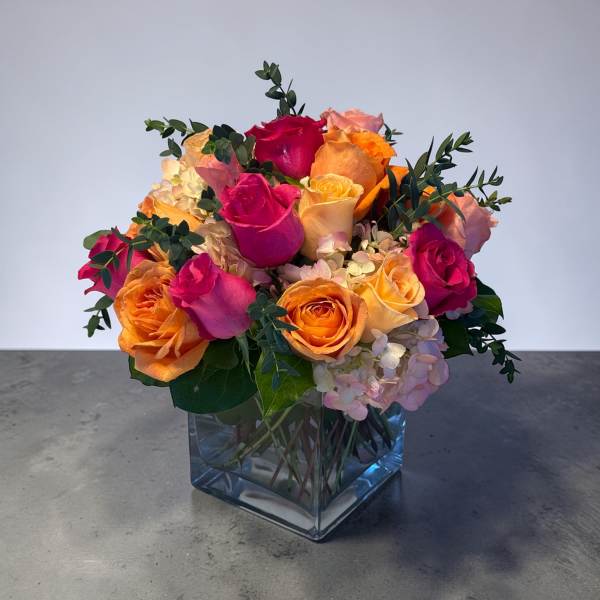 Petal Perfection’s Life’s Lush