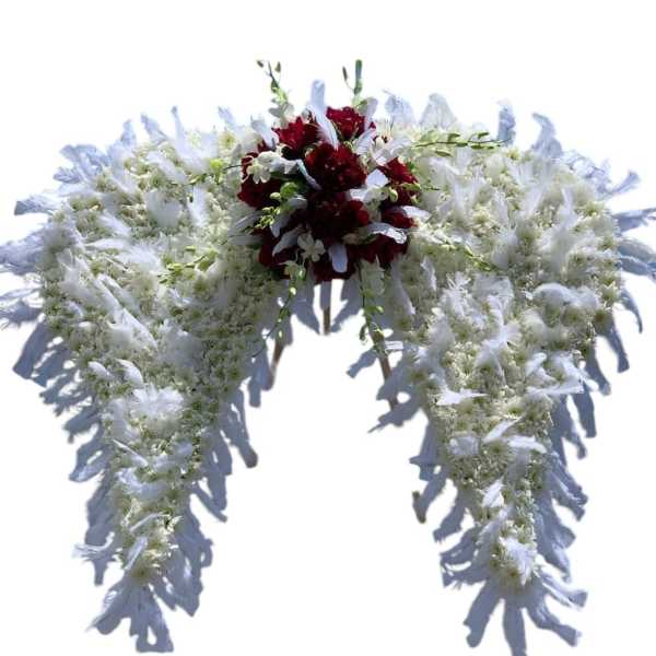 Feathered Angel Wings