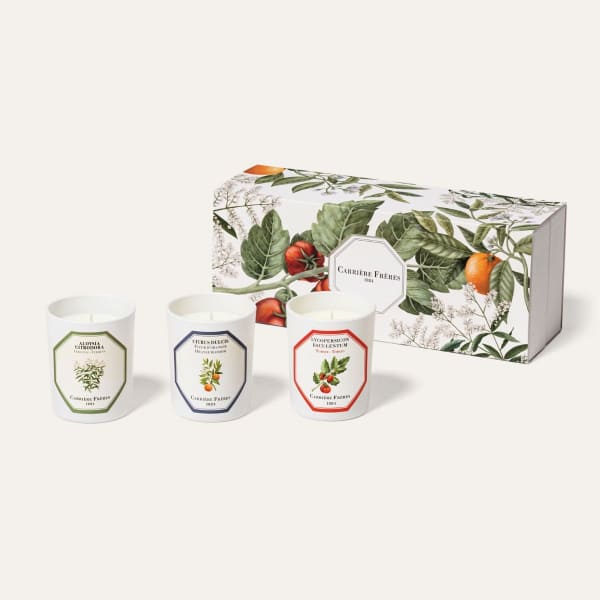 Botanical Harmony: Carrière Frères Scented Candle Botanical Set