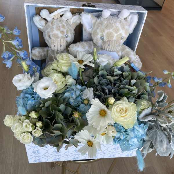 Welcome Little One – Giraffe Baby Bloom Box