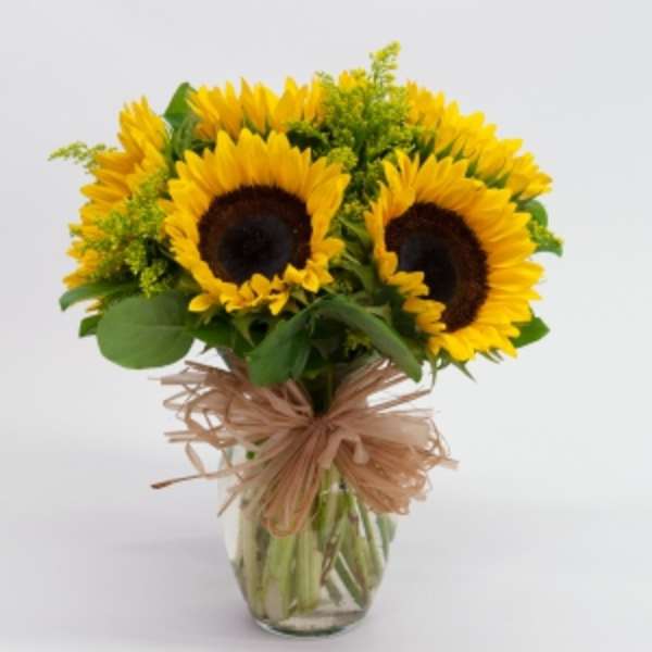 Sunflowers in Vase