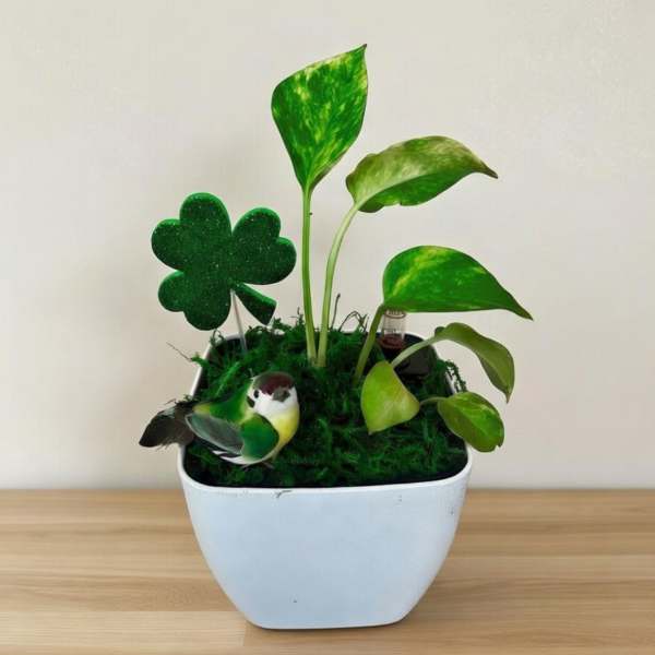 Irish Mini Planter