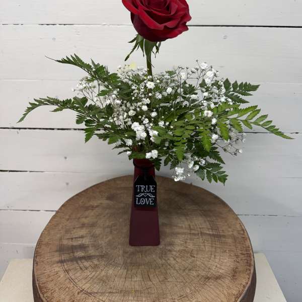 Valentine Bud Vase Collection