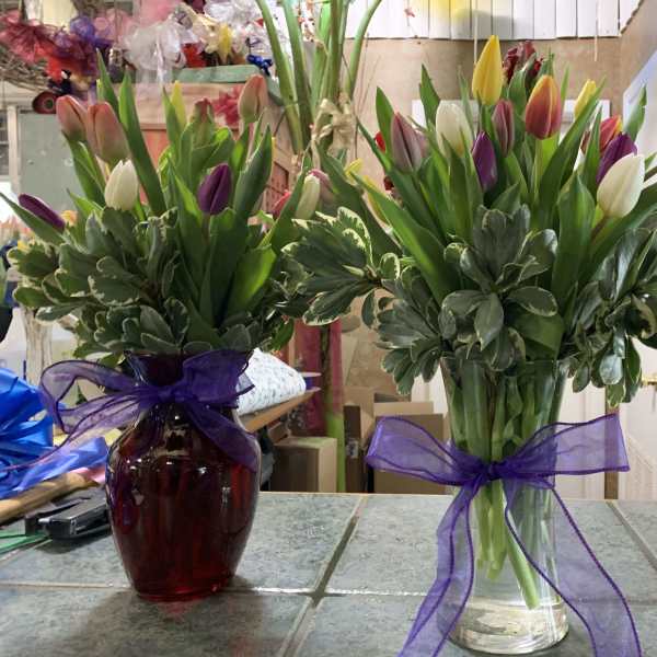 Assorted Tulips (24)